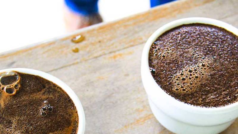 Wild Costa Rica – Premium Adventure