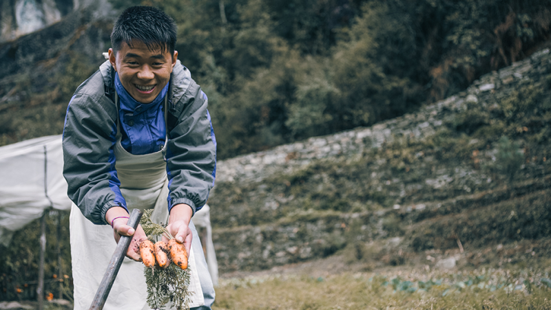 Everest Treks in Comfort