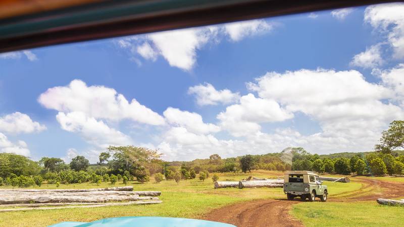 Mexico’s Yucatán Adventure