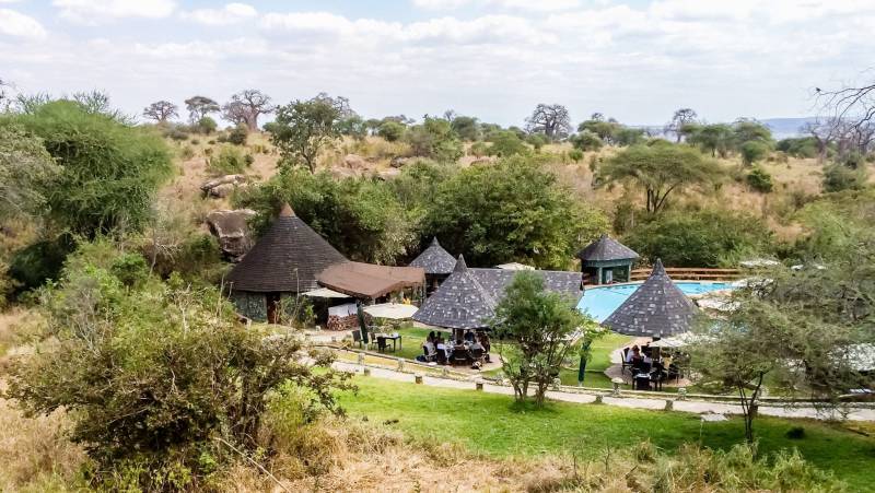 Tanzania Safari Adventure