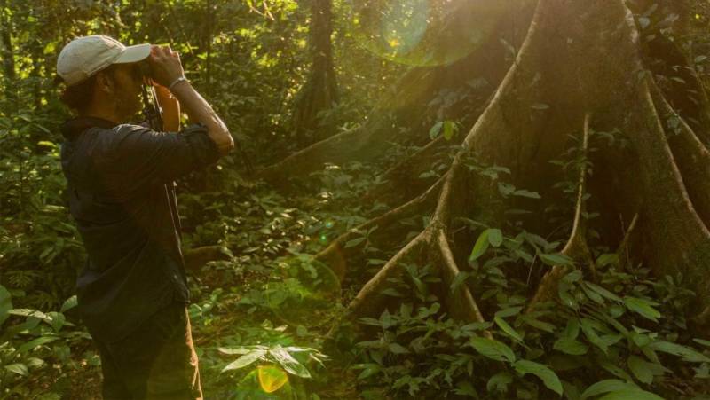 Premium Amazon Rainforest Add-on Tour (from Cuzco)