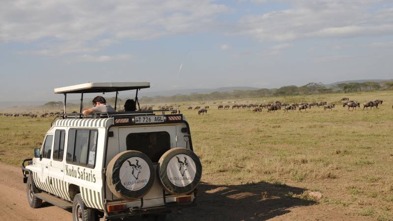 Tanzania Safari Adventure
