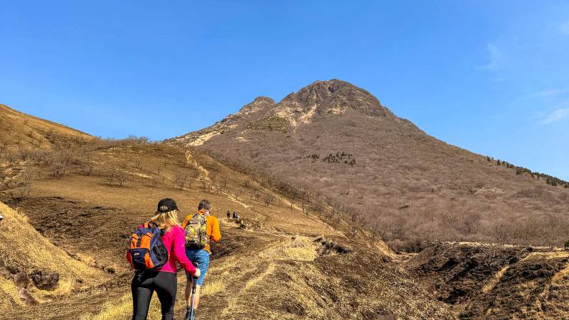 Japan Adventure: Kyushu & Shikoku