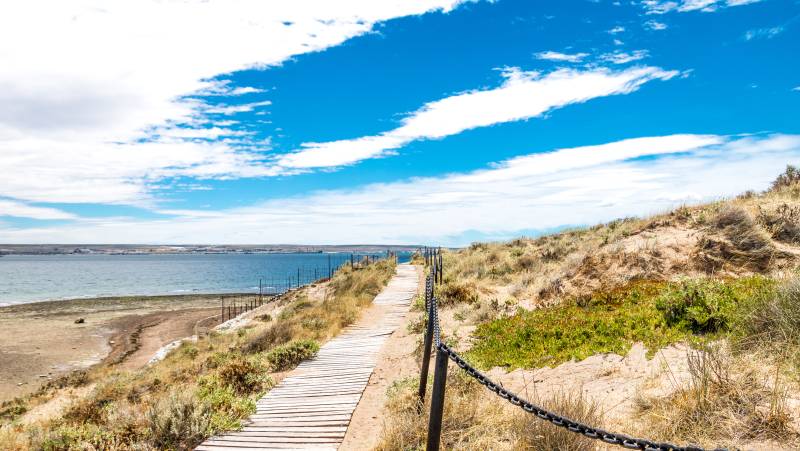 Valdés Peninsula Add-on Tour