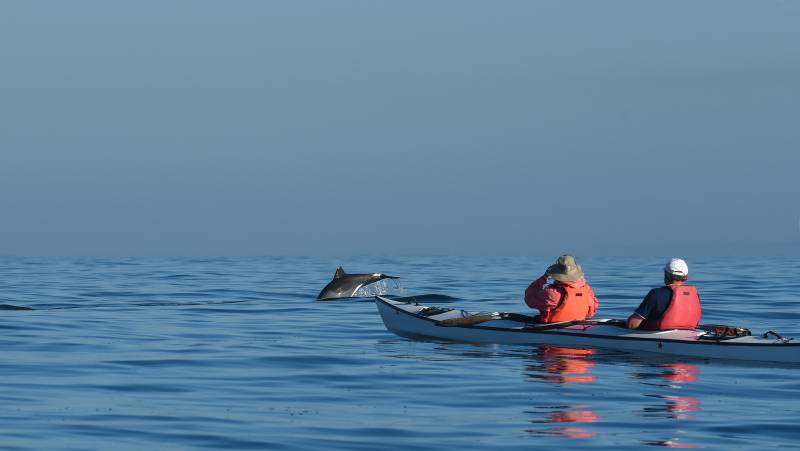 Highlights of South Africa’s Winelands