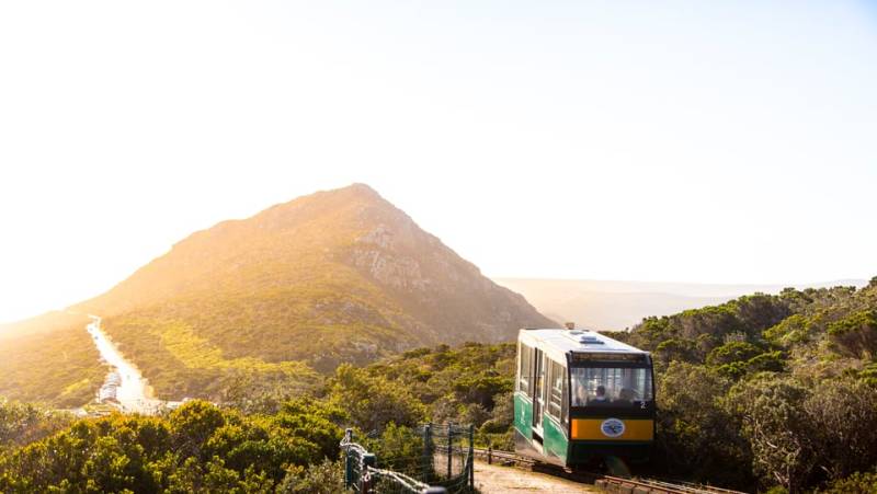 Highlights of South Africa’s Winelands