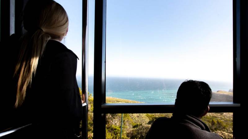 Highlights of South Africa’s Winelands