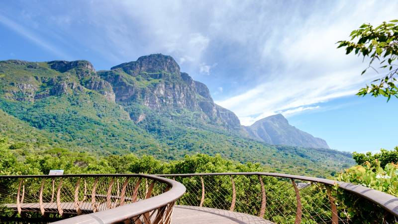 Highlights of South Africa’s Winelands