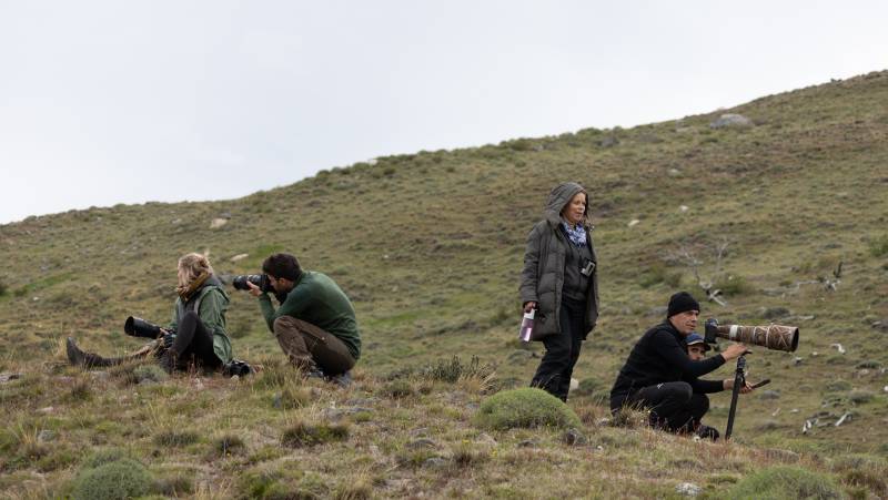 Puma Tracking Add-on Tour