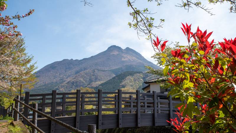 Japan Adventure: Kyushu & Shikoku