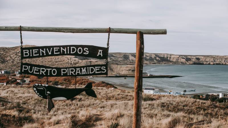 Valdés Peninsula Add-on Tour