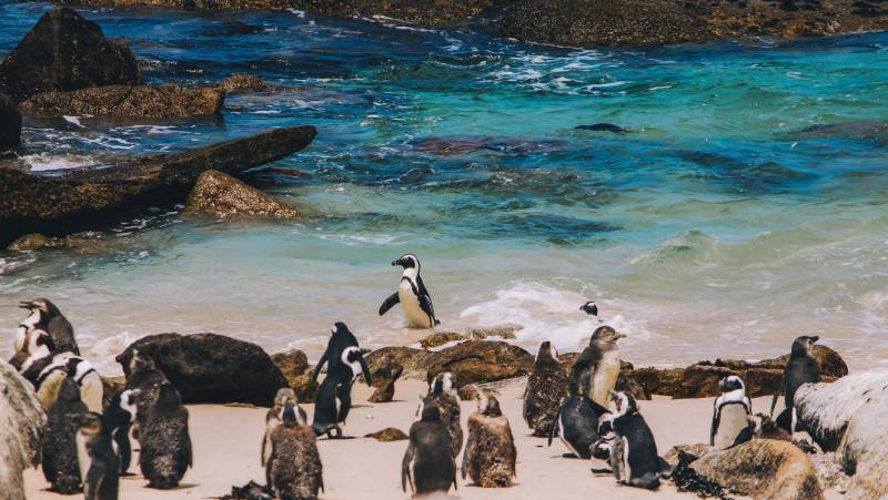 Discover South Africa’s Garden Route