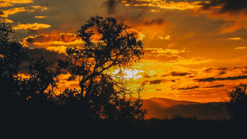 Discover South Africa’s Garden Route