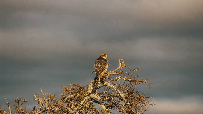 Discover South Africa’s Garden Route