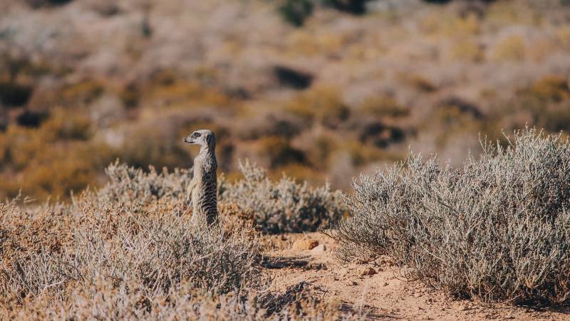 Discover South Africa’s Garden Route