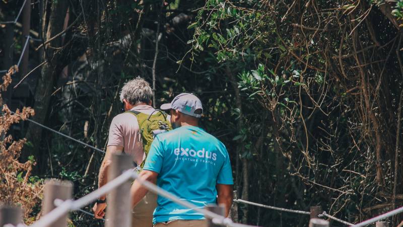 Discover South Africa’s Garden Route