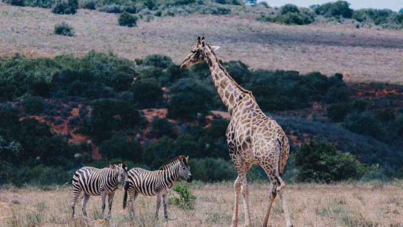 Discover South Africa’s Garden Route