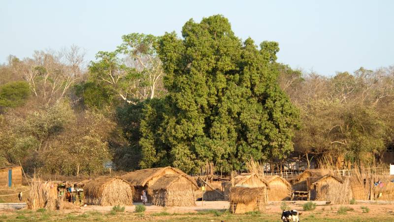 Madagascar Wildlife Adventure