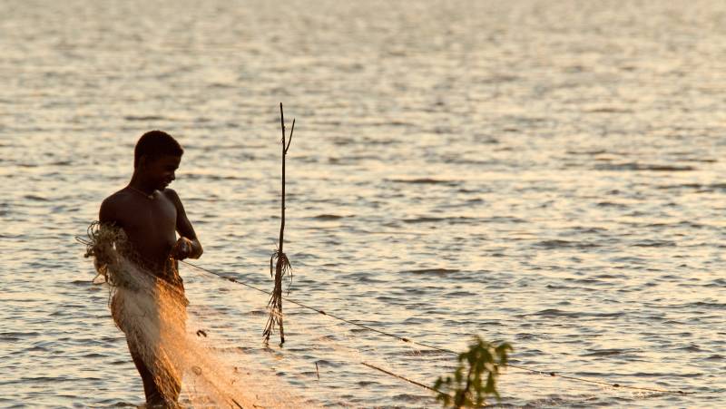 Madagascar Wildlife Adventure