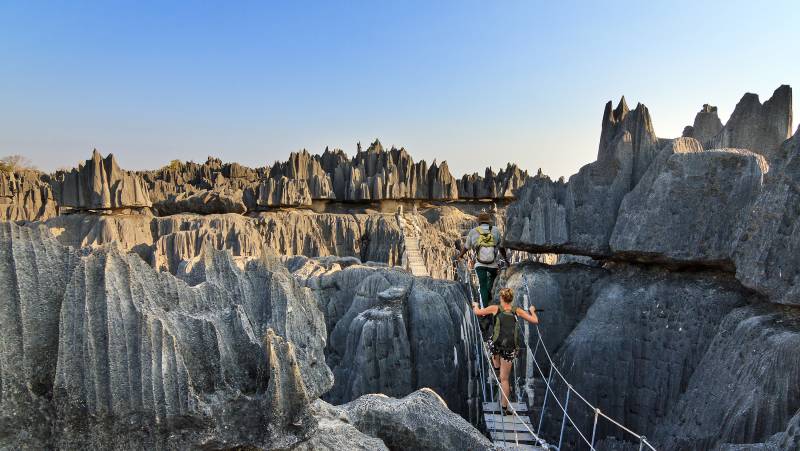 Madagascar Wildlife Adventure