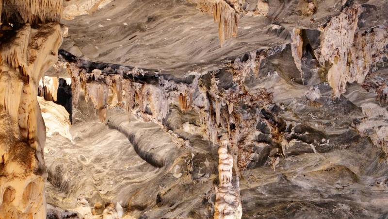 Discover South Africa’s Garden Route