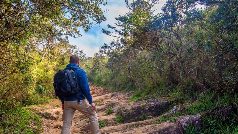 Hike Sri Lanka’s Pekoe Trail