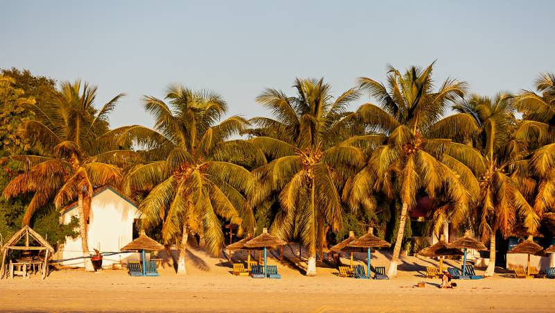 Madagascar Wildlife Adventure