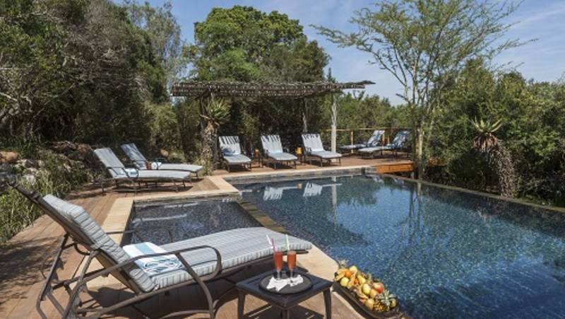 Best of the Garden Route – Premium Adventure