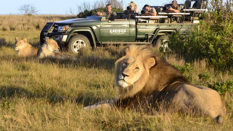 Best of the Garden Route – Premium Adventure