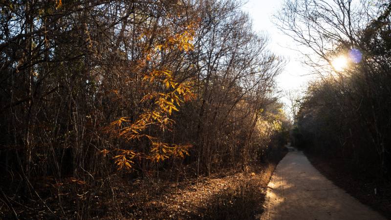 Madagascar Wildlife Adventure