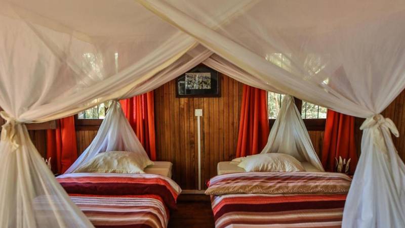 Madagascar Wildlife Adventure