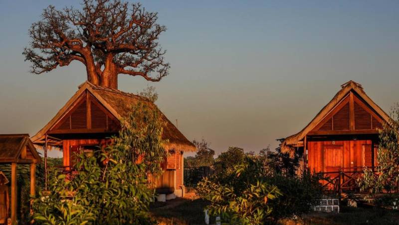 Madagascar Wildlife Adventure