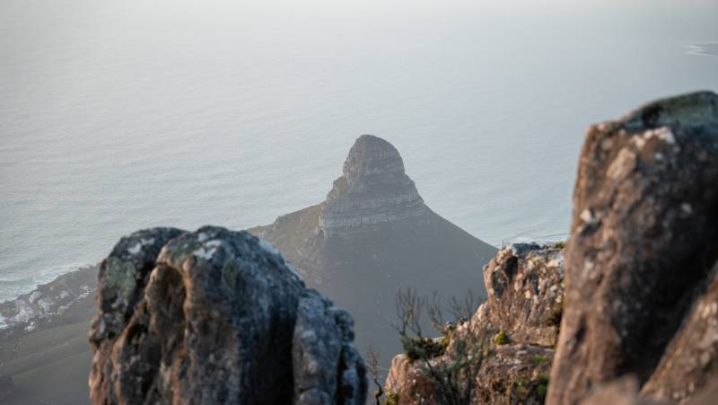 Best of the Garden Route – Premium Adventure