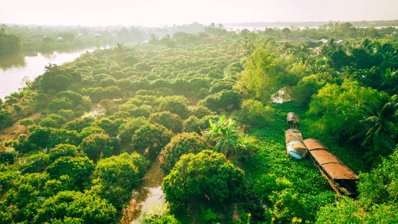Mekong Delta Add-on Tour