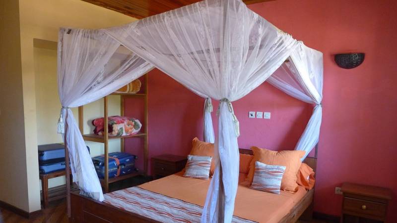 Madagascar Wildlife Adventure