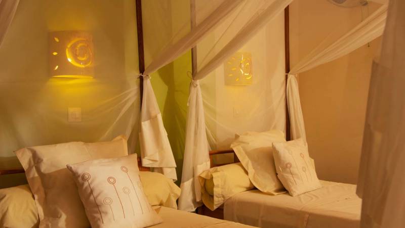 Madagascar Wildlife Adventure