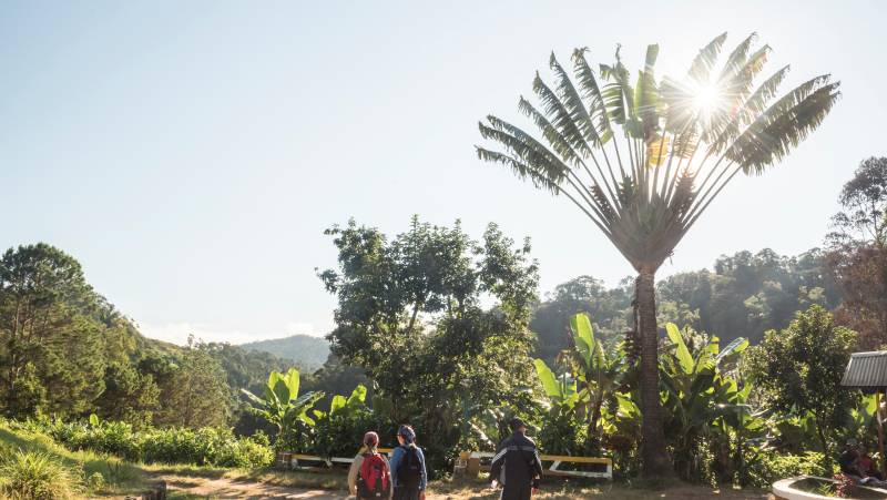 Madagascar Wildlife Adventure