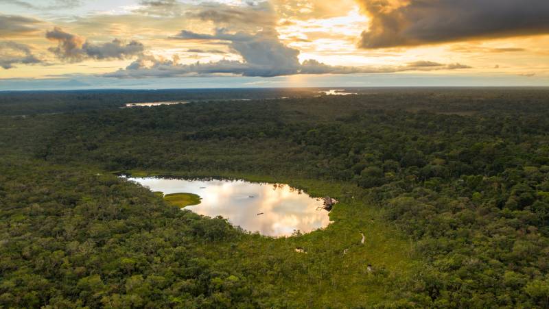 Sacha Lodge Add-on Tour