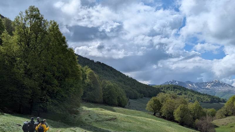 Italian Apennines: Walks & Wildlife