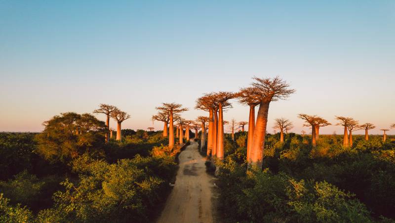 Madagascar Wildlife Adventure