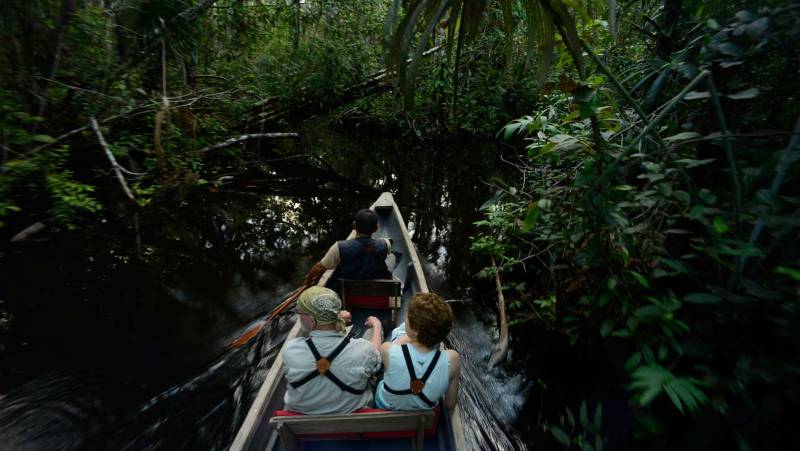 Sacha Lodge Add-on Tour