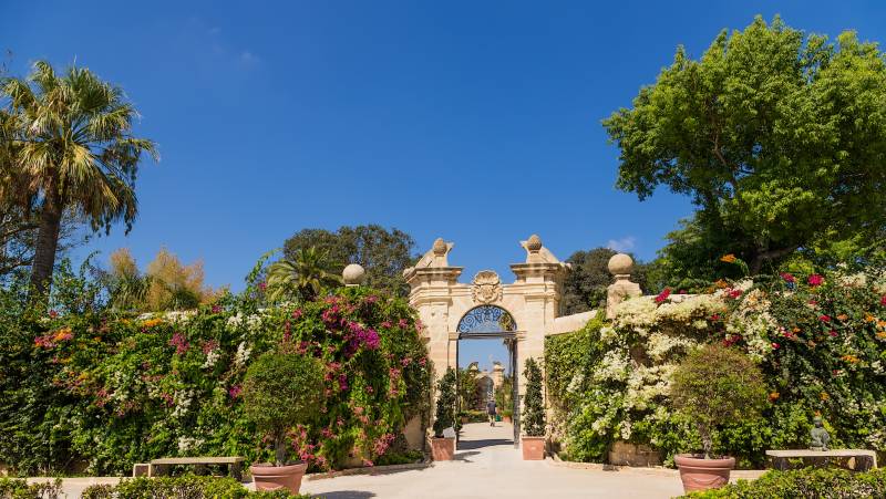 Discover Malta & Gozo