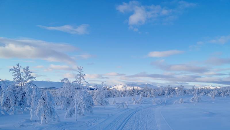 Cross-Country Skiing in Skåbu, Norway