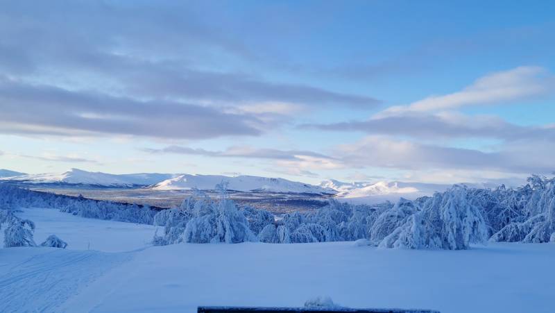 Cross-Country Skiing in Skåbu, Norway