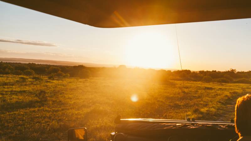 Essential Kruger Safari – Family Adventure