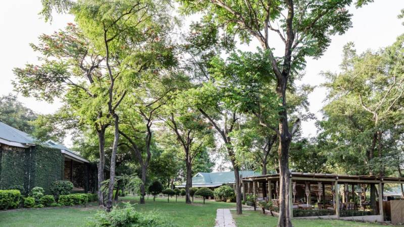 Essential Kruger Safari – Family Adventure