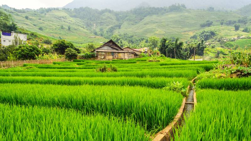 Hiking in Northern Vietnam