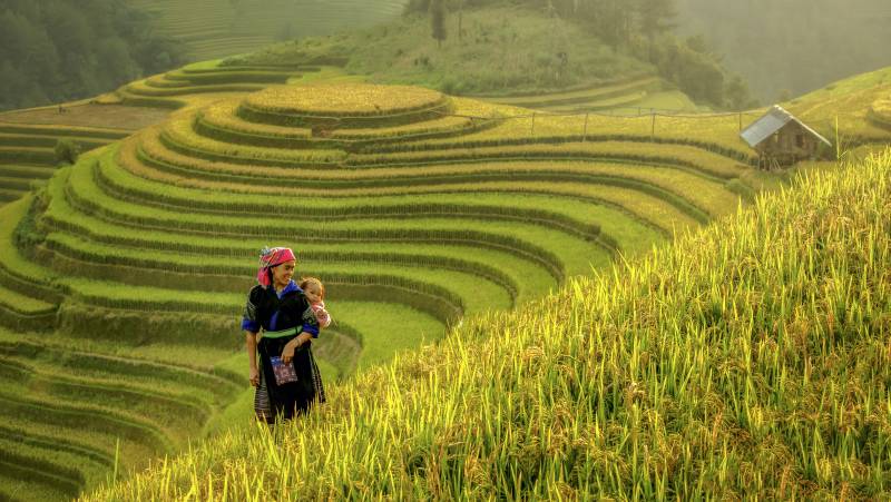Hiking in Northern Vietnam