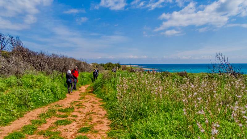Discover Puglia: Italy’s Ancient Heel