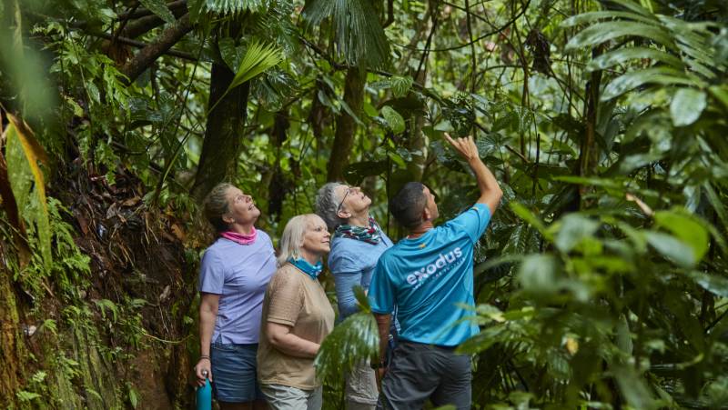 Costa Rica’s Coastal Secrets